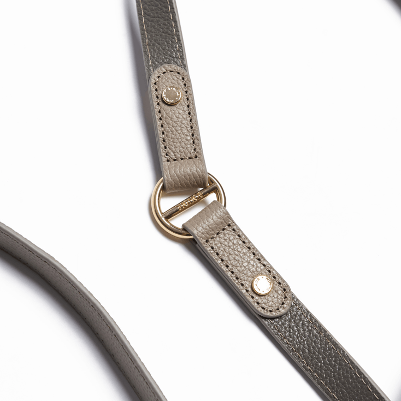 Hands-Free Dog Leash for Walking & Running - Adjustable Waist Belt with Reflective Stitching - Perfect for Jogging, Hiking & Outdoor Activities