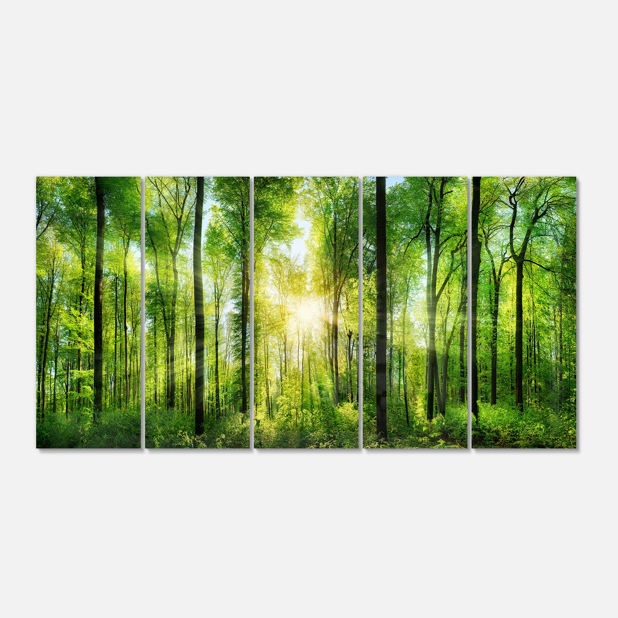 Forest with Sun Rays Panoramic Metal Wall Art - 5 Panel Landscape Decor - 60x28 Inches - Modern Home & Office Wall Decor for Living Room, Bedroom, or Office Spaces