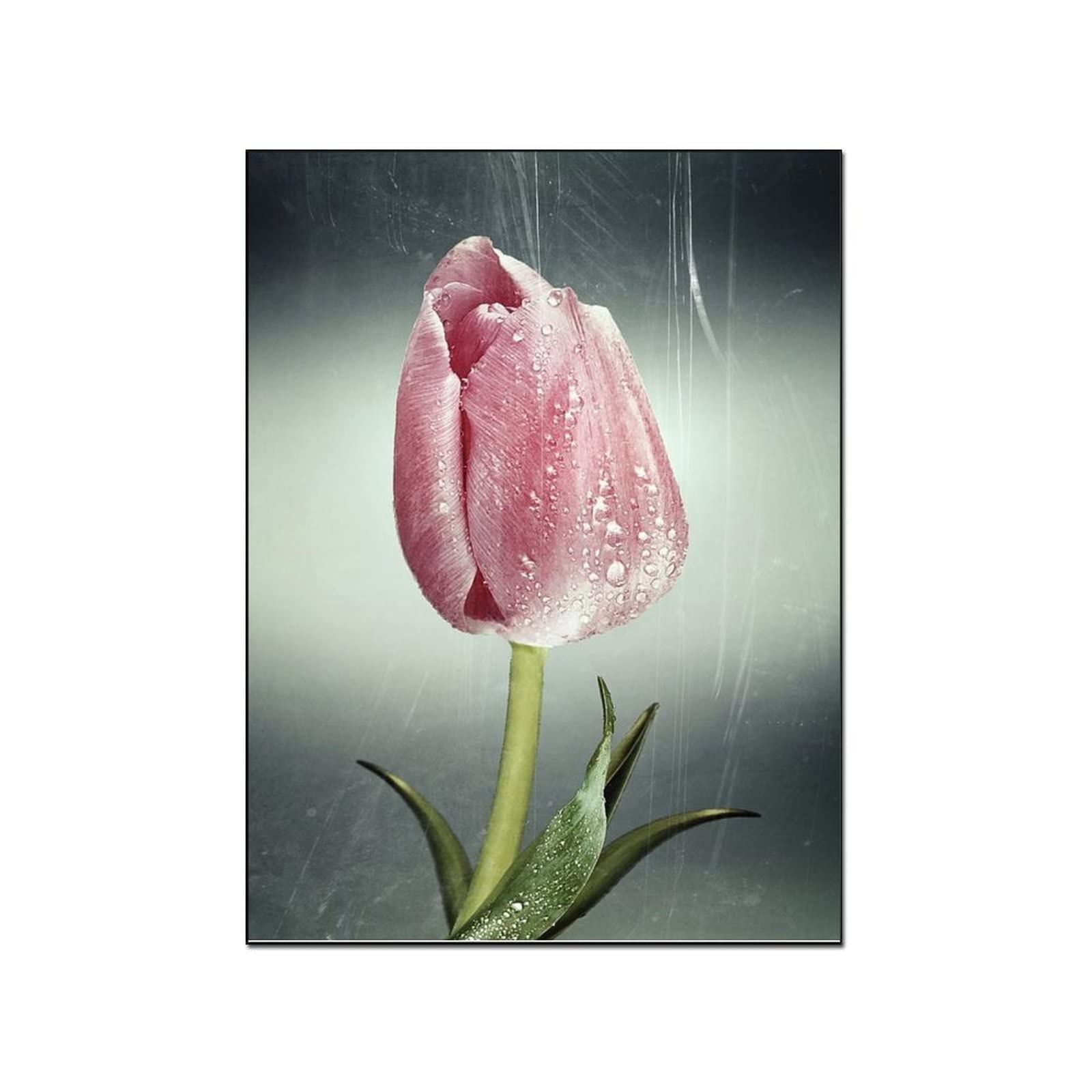 Tulip Art Poster - Vintage Oil Painting Canvas Wall Decor for Living Room & Bedroom - Modern Home Decoration Gift - 12x16inch (30x40cm) - Perfect for Housewarming, Wedding & Birthday Presents