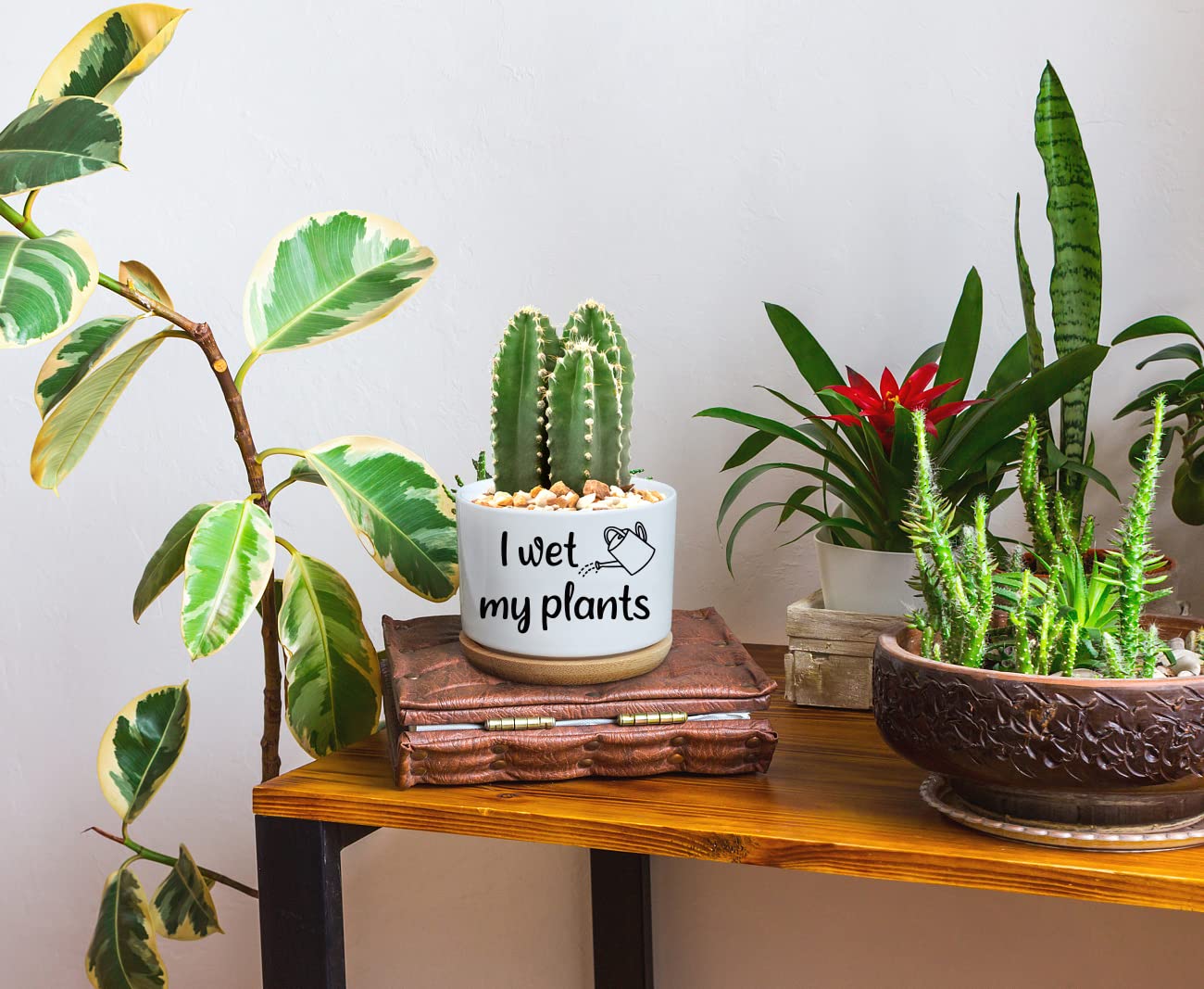 Funny Ceramic Succulent Cactus Planter Pot - 'I Wet My Plants' White Mini Cactus Flower Pot for Office, Home, Garden Decor - Perfect Gift for Teachers, Moms, Grandmas & Plant Lovers (Plant Not Included) - Great for Desk Decor, Windowsill Decor, Housewarming Gifts & Plant Enthusiast Presents