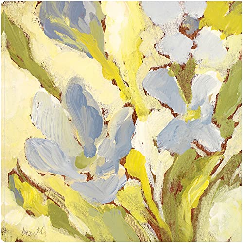 Begonia Bleu I