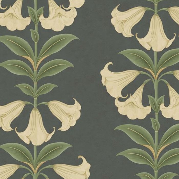 Cole and Son Angels Trumpet Black Botanical Wallpaper - Premium Floral Design for Living Room, Bedroom & Dining Room Decor