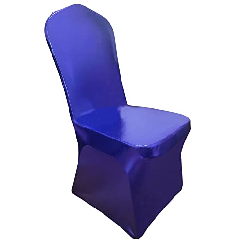 Metallic Royal Blue