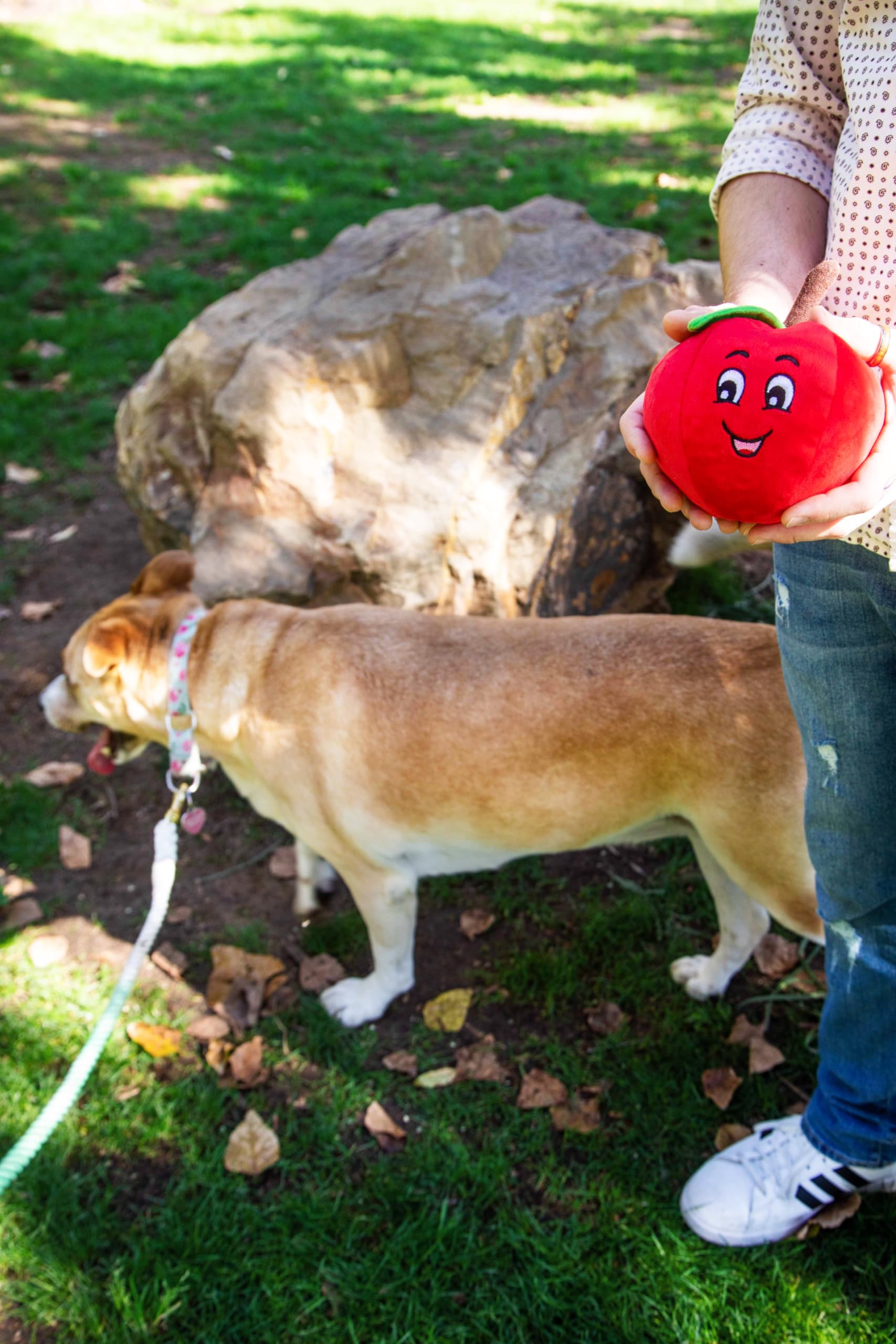 Tomato Shaped Plush Dog Toy with Squeaker for Medium & Large Dogs - Fun Chew Toy for Playtime, Training & Interactive Pet Games