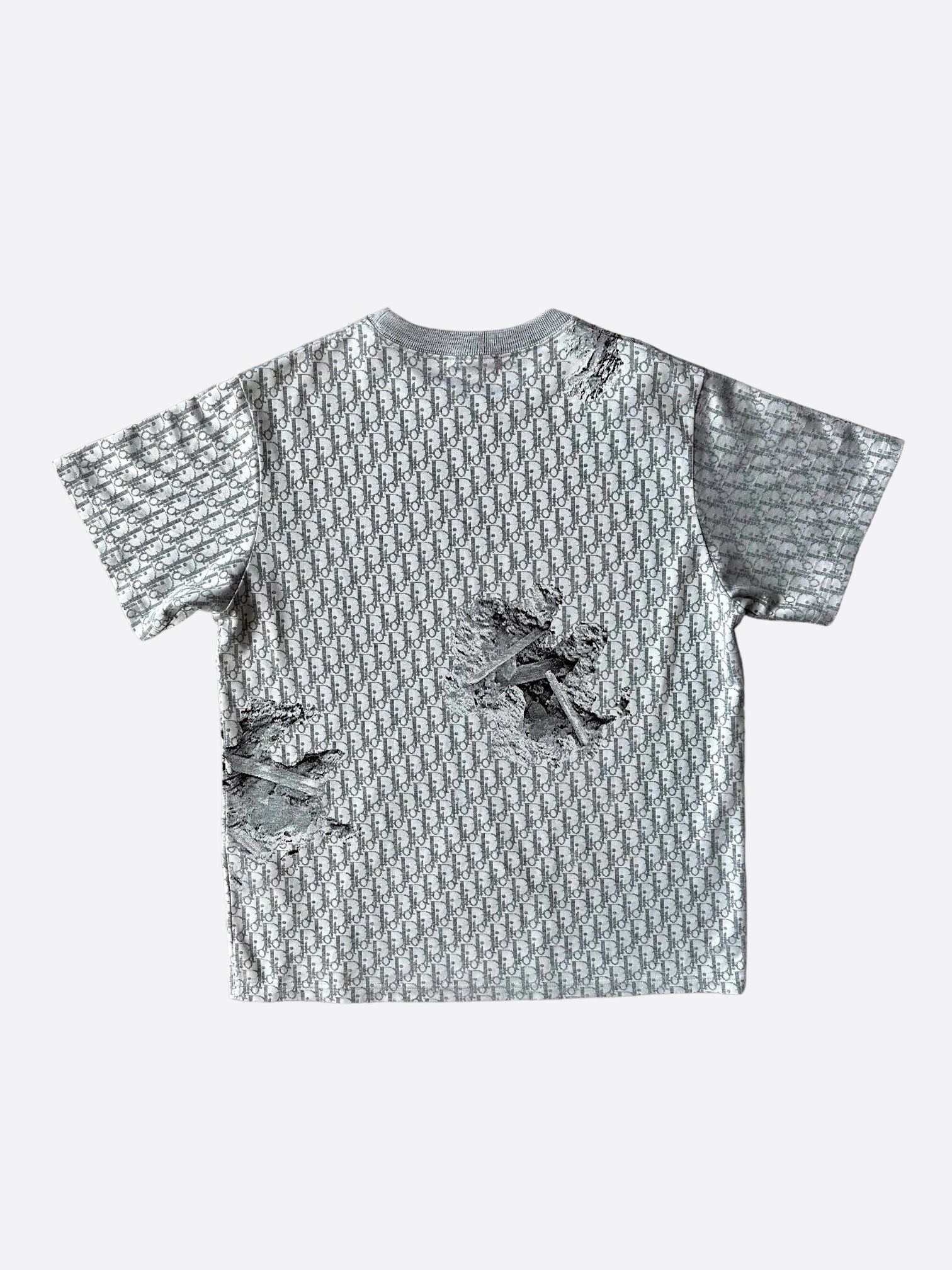 Dior Daniel Arsham Grey Oblique T-Shirt | Limited Edition Designer Tee for Men | Perfect for Streetwear & Luxury Fashion Outfits