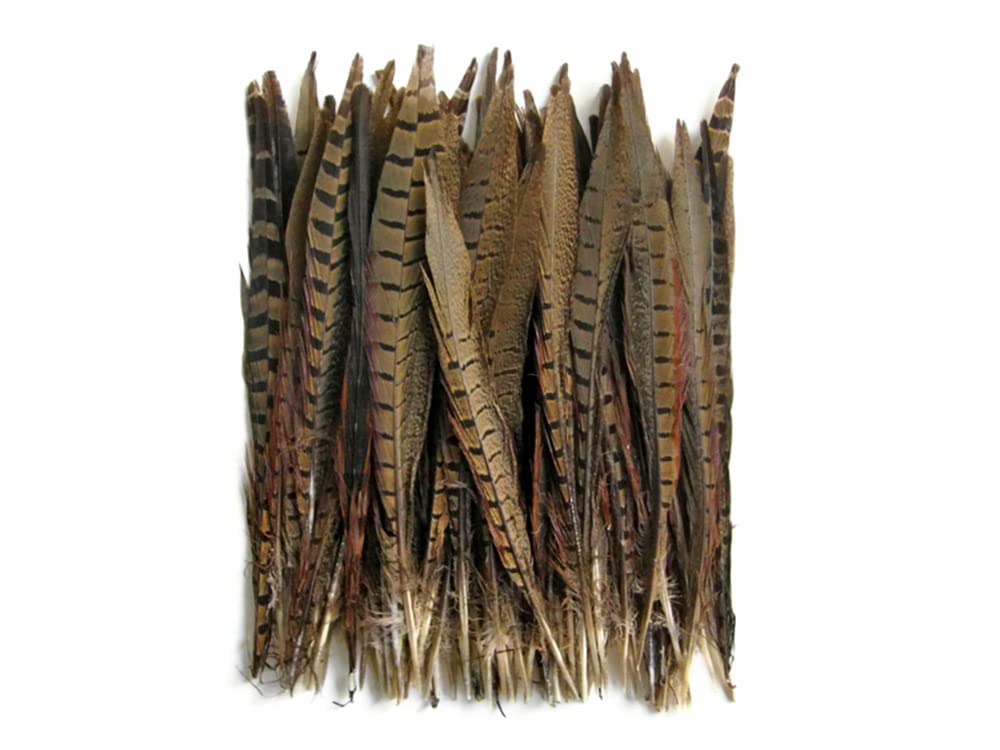 50 Pieces Bulk Natural Brown Ringneck Pheasant Tail Feathers 10-12