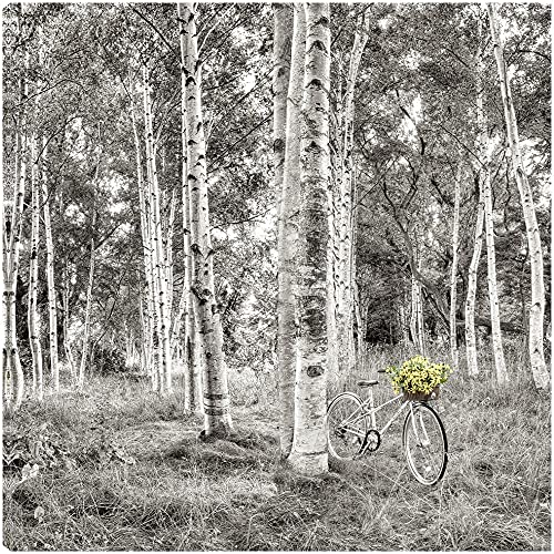 Sunflower Bicycle Ride