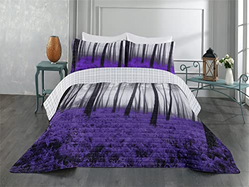 Violet Dark Purple Grey