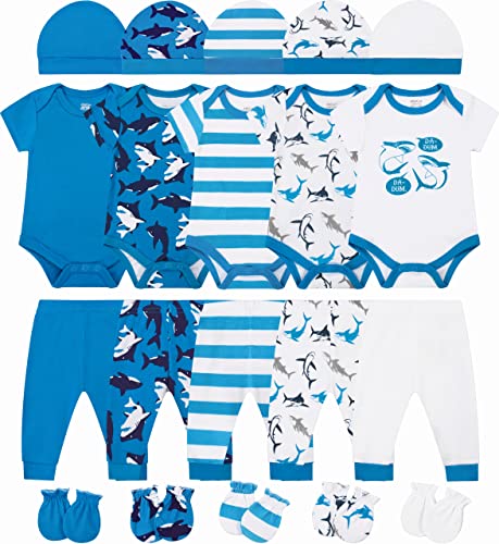Blue Shark