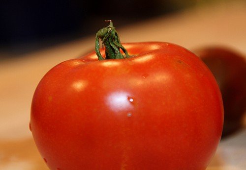 Fourth of July Tomato Plant - Fast Growing Heirloom Variety Ripens in 44 Days - 2.5