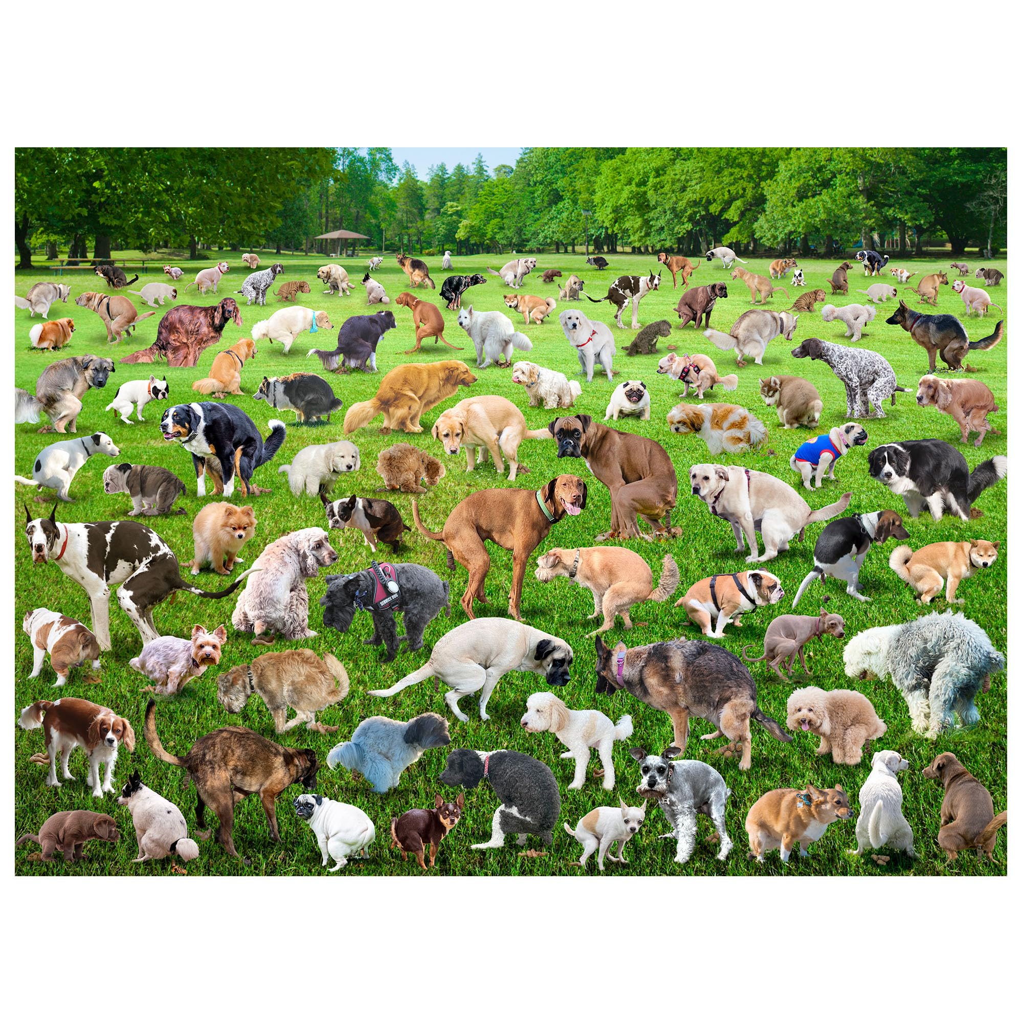 Funwares Original 101 Pooping Puppies 500-Piece Jigsaw Puzzle - Hilarious Dog-Themed Puzzle Game for Adults & Kids - Perfect White Elephant Gift for Christmas & Parties - Great for Family Game Nights & Stress Relief