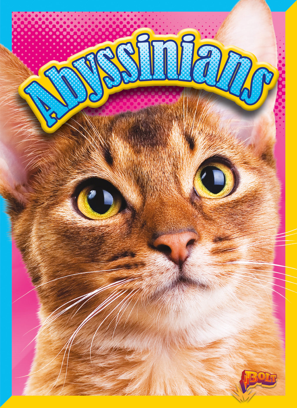 Abyssinian Cat Book - 9781680727975 | Breed Guide, Care Tips & History - Perfect for Cat Lovers & Pet Owners