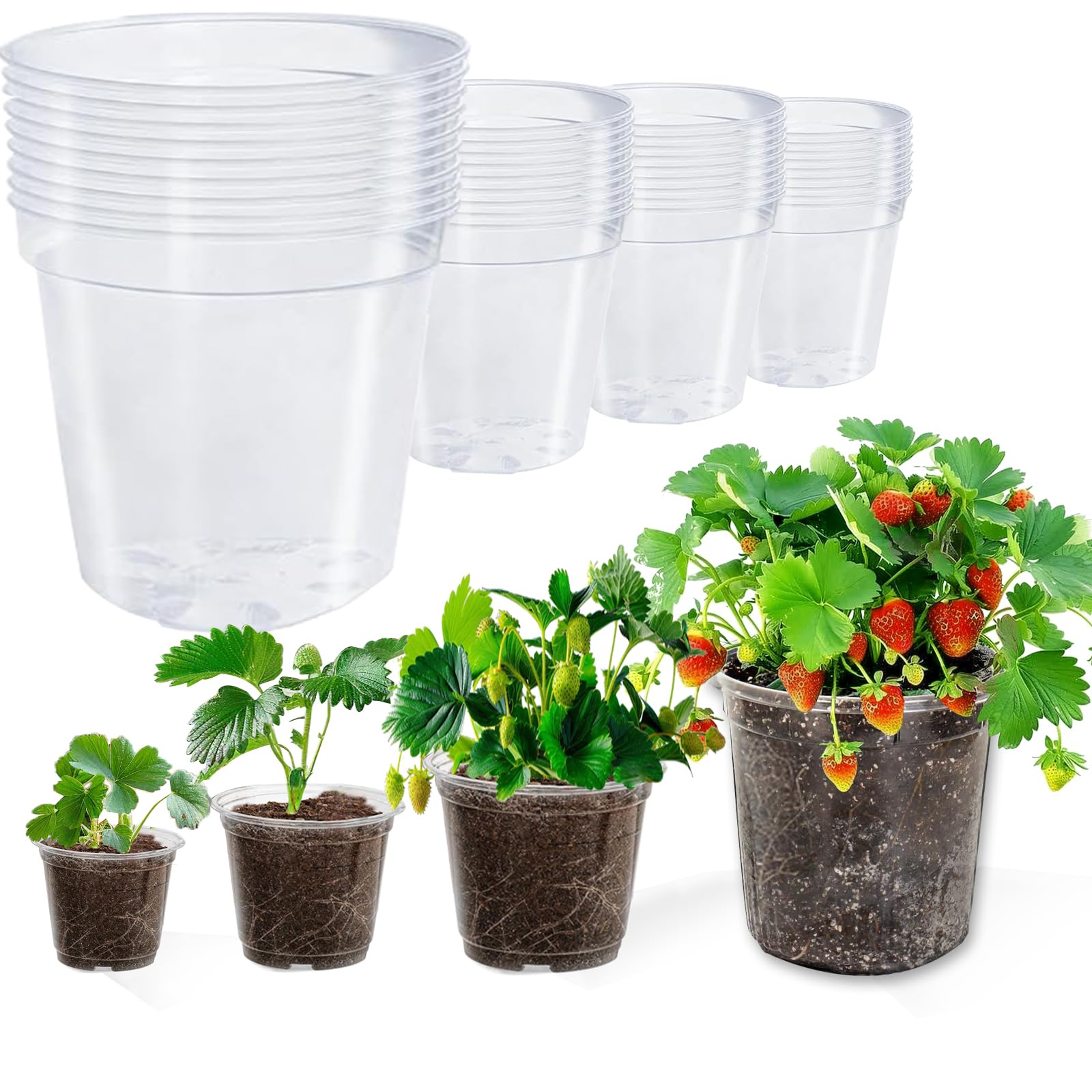 Clear Plastic Plant Pots with Drainage Holes - 4 Sizes (3.5/4/5/6.8 Inch) - 40 Pack Thick Nursery Pots for Indoor Plants, Seedlings & Succulents - Perfect for Home Gardening, Plant Propagation & Office Decor