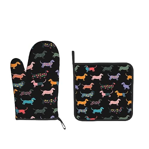 Colorful Dachshund