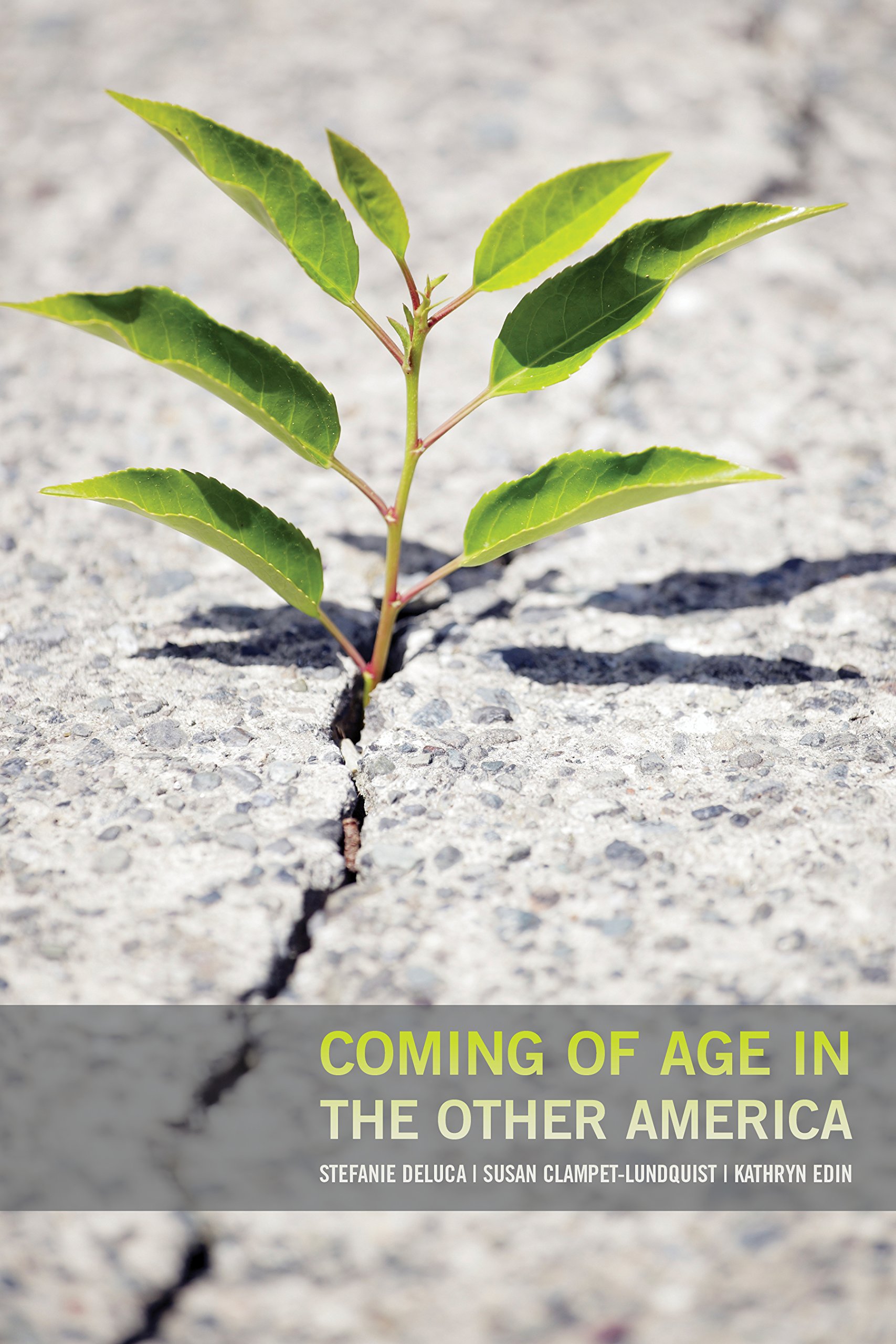 Coming of Age in the Other America - Inspirational Memoir About Overcoming Poverty in Urban America | Perfect for Book Clubs, Sociology Studies & Personal Growth Journeys