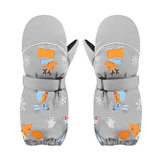 Grey Rabbit