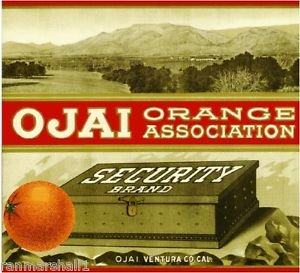 Vintage Ojai Ventura County Citrus Crate Magnet - Security Orange #2 Fruit Art Print for Fridge, Office & Kitchen Decor