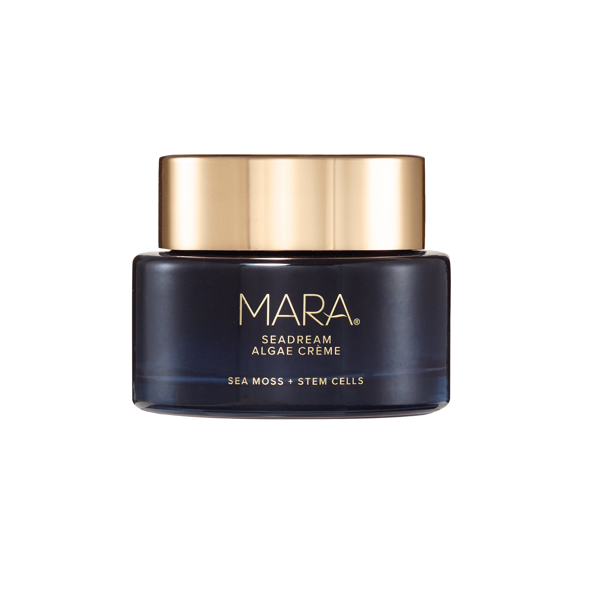 Sea Moss & Stem Cell Firming Algae Cream - Anti-Aging Face Moisturizer for Wrinkles & Fine Lines - Hydrating & Lifting Skincare for Daily Use & Night Routine