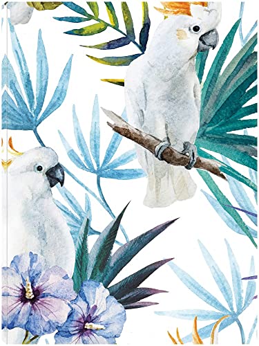 Cockatoo