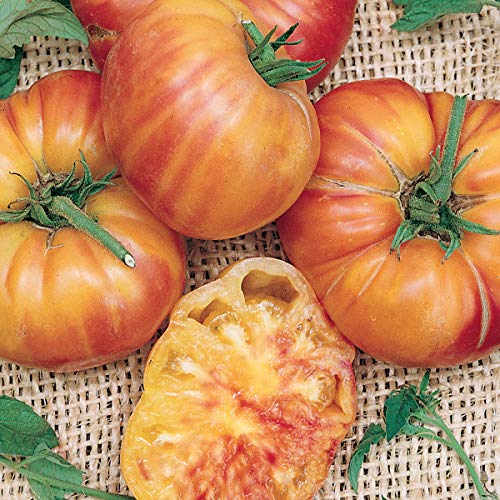 Mr. Stripy Heirloom