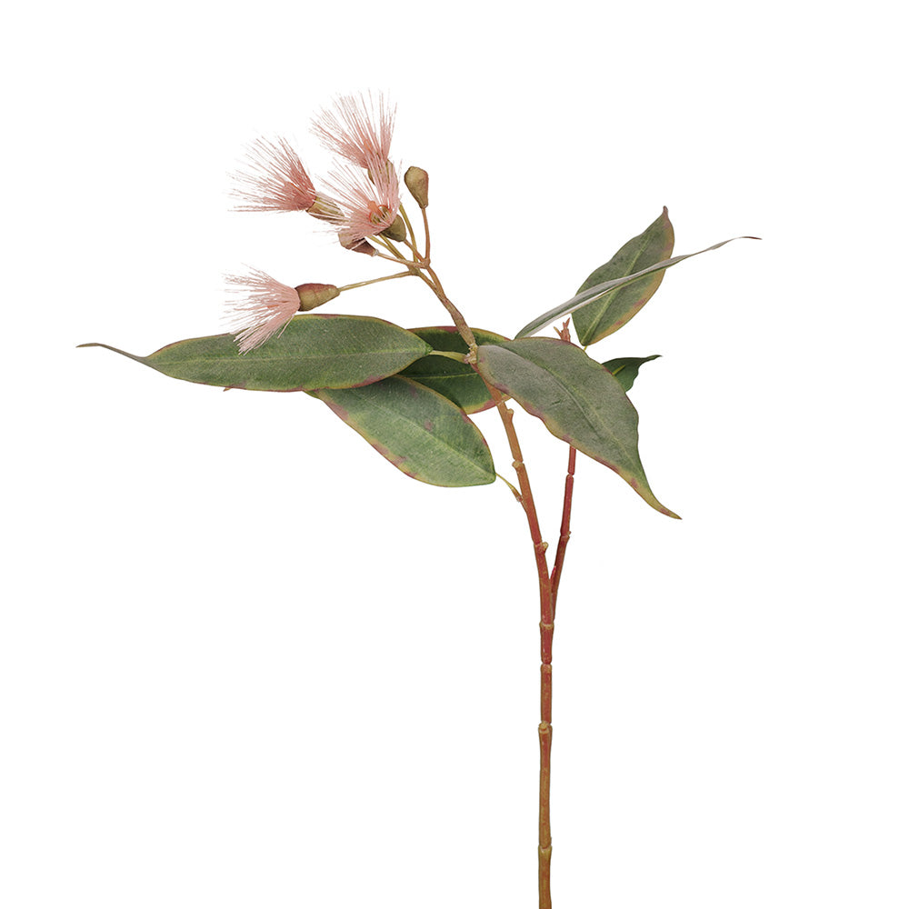 Premium Pink Eucalyptus Blossom Bouquet - Fresh Floral Decor for Weddings, Home & Office - Aromatherapy & Gift Idea