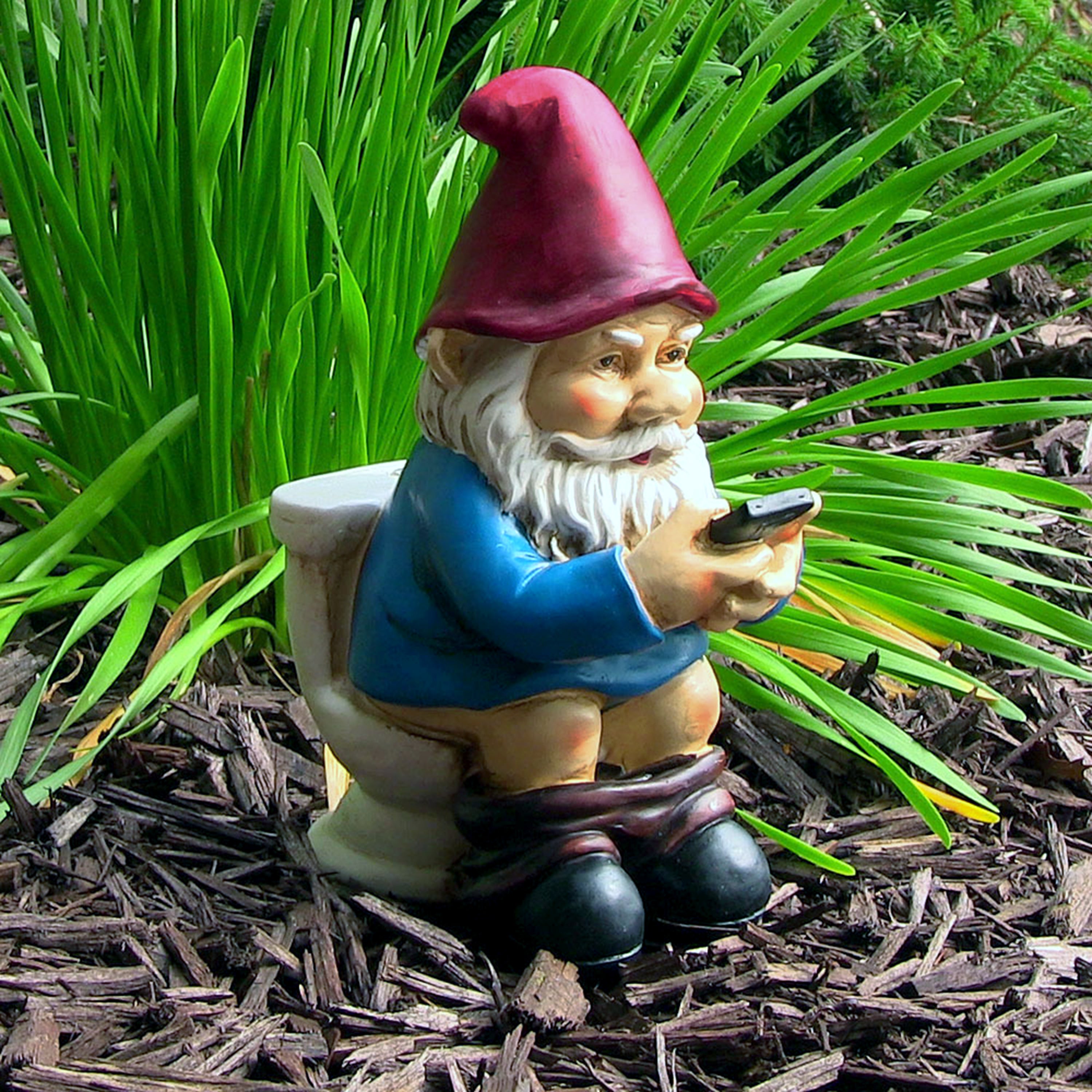 Funny Garden Gnome Statue - Cody Reading Phone on Throne - Outdoor Lawn Decor for Garden, Yard, and Patio - Perfect Gift for Gnome Lovers & Unique Home Decoration