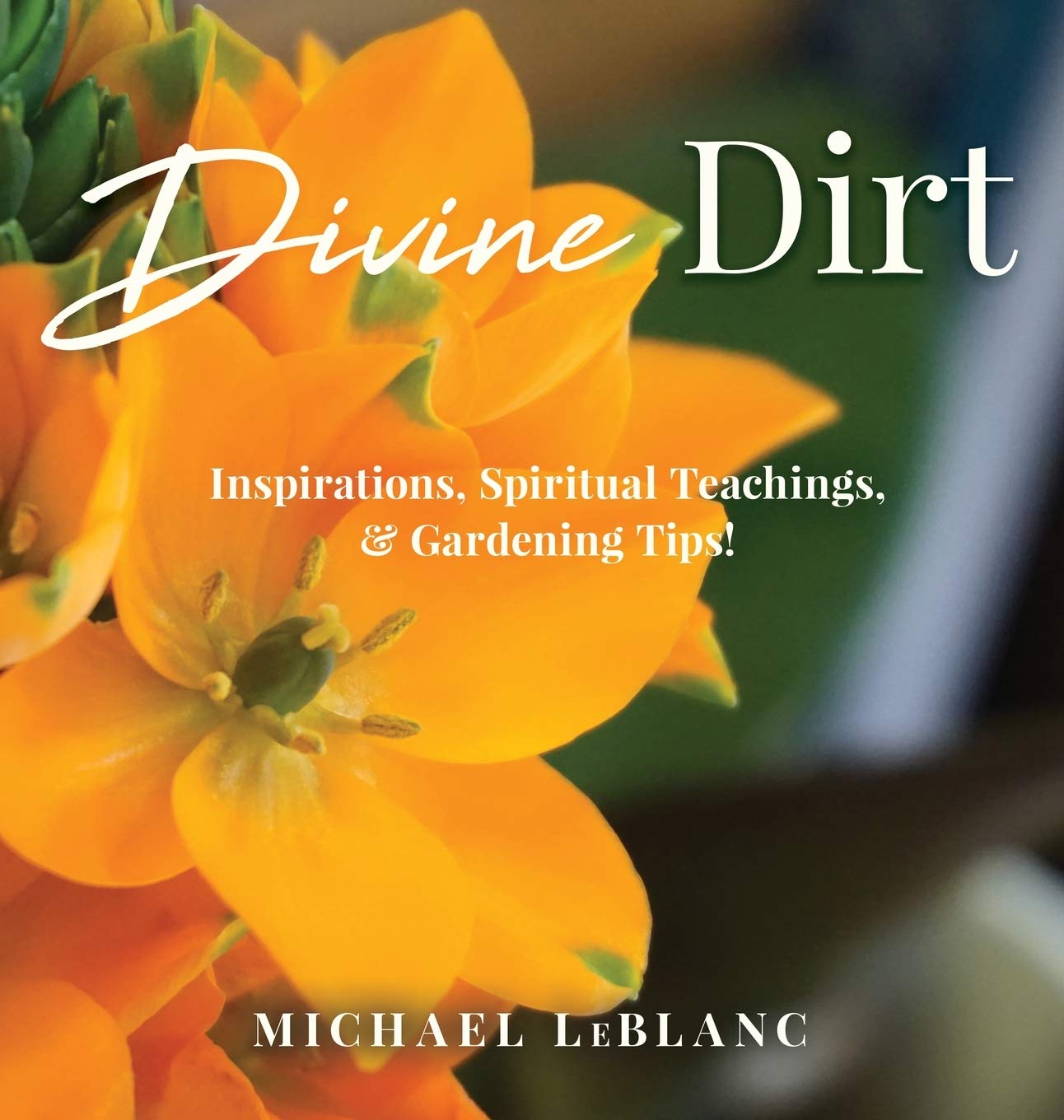Divine Dirt: Spiritual Gardening Book with Inspirational Teachings & Organic Gardening Tips - Perfect for Home Gardeners & Spiritual Seekers