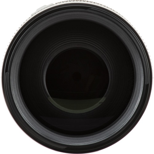 Canon RF 70-200mm f/2.8L IS USM Telephoto Zoom Lens for Professional Photography, Sports & Wildlife - Fast Aperture, Image Stabilization, Weather-Sealed
