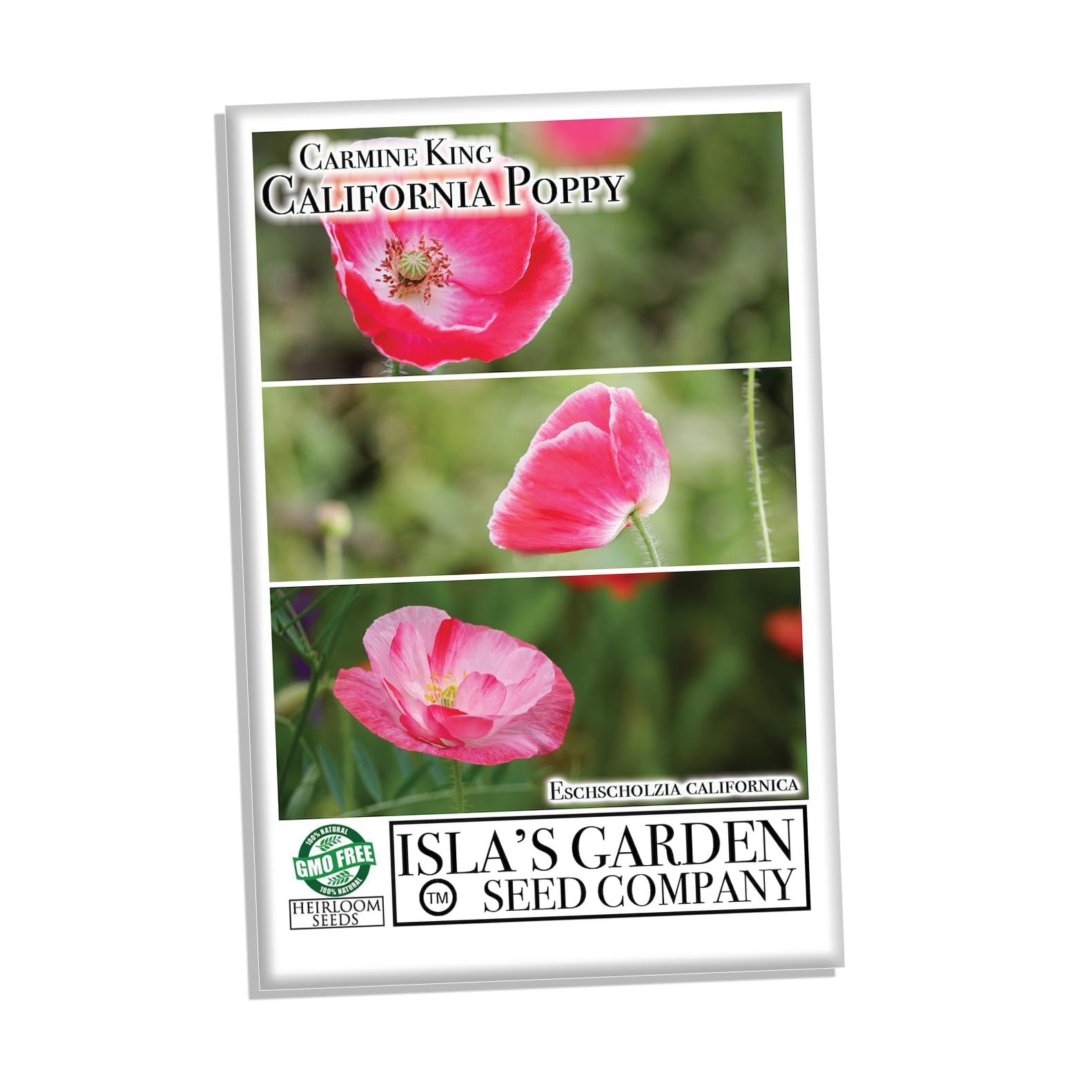Carmine King California Poppy Seeds for Planting - 1000+ Non-GMO Heirloom Seeds (Eschscholzia californica) by Isla's Garden Seeds - Perfect for Home Gardens, Landscaping & Wildflower Meadows