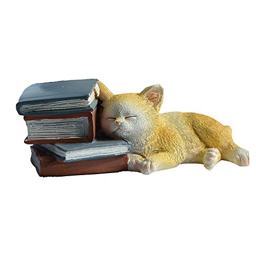 Love Book Cat