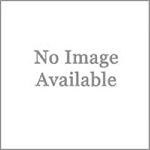Heavy Duty Semi-Trailer Loading Ramp Storage Brackets - 26