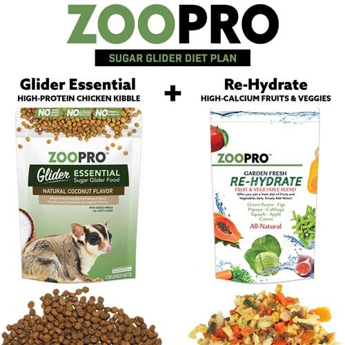 Premium Madagascar Sugar Glider Cage & Starter Kit - Durable Cage, Exercise Wheel, Healthy Food, Water Bottle, Food Dishes & Nest Pouch for Small Pets | Perfect for Sugar Glider Habitat Setup & Daily Care