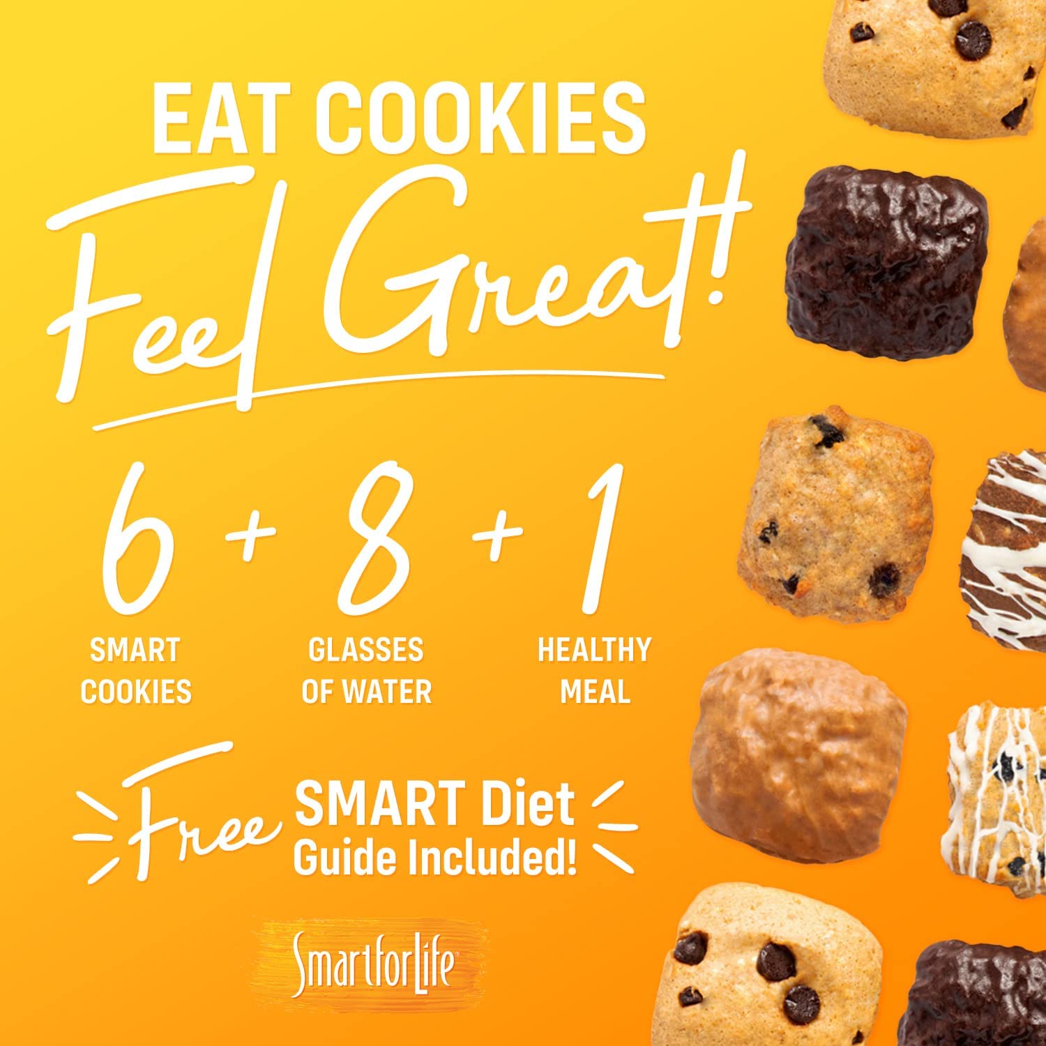 Smart for Life Oatmeal Raisin Protein Cookies - High Protein, Low Sugar, Low Calorie, High Fiber Meal Replacement Snacks - 1 Week Supply - Perfect for Weight Loss, Keto Diet & On-The-Go Nutrition - Ideal for Office Snacking, Gym Recovery & Travel Energy Boost