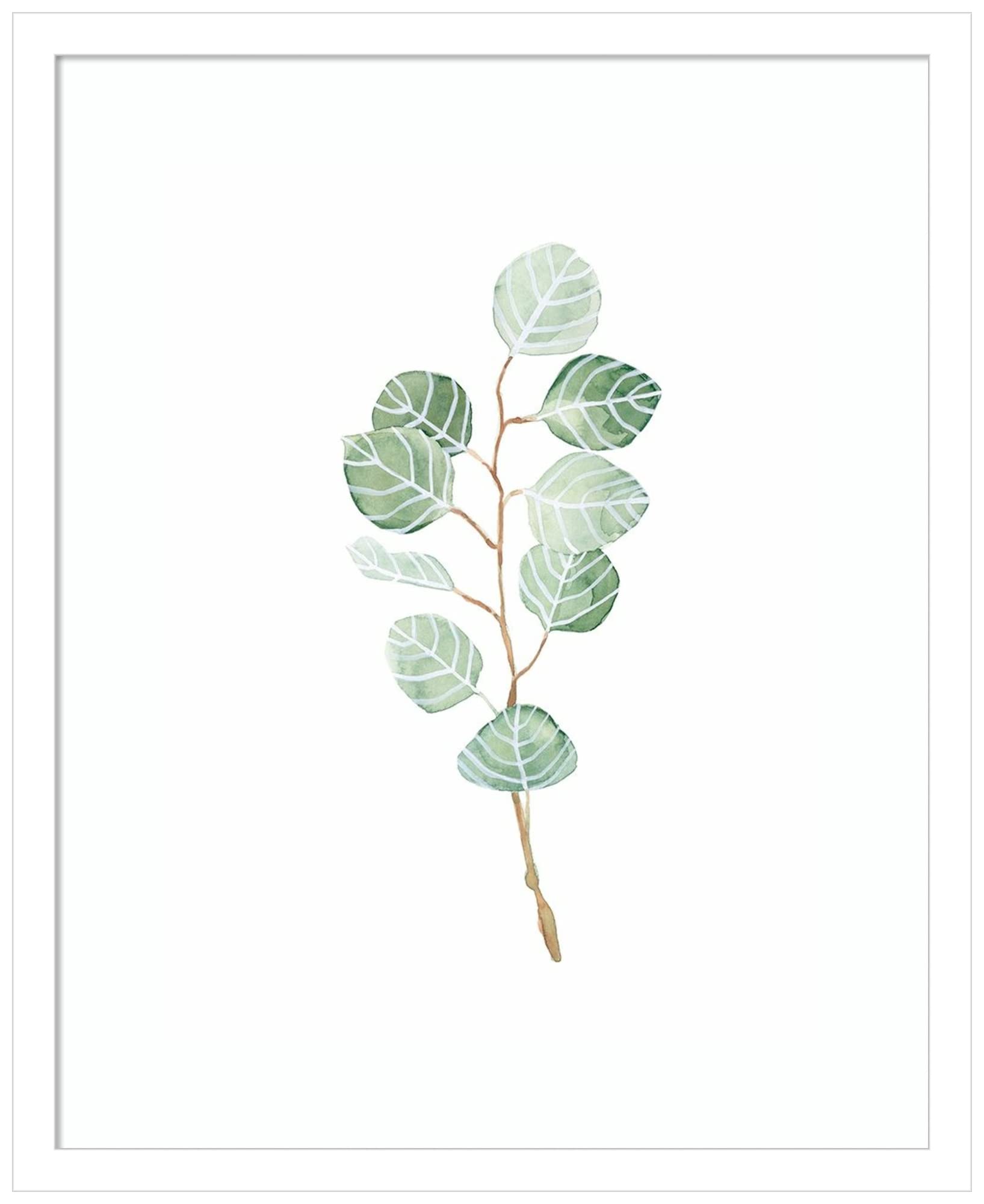 Emma Scarvey Soft Eucalyptus Branch III Wall Art Print - 17x21 Inch Wood Framed Canvas Painting, Svelte White Frame - Nature Inspired Home Decor for Living Room, Bedroom & Office