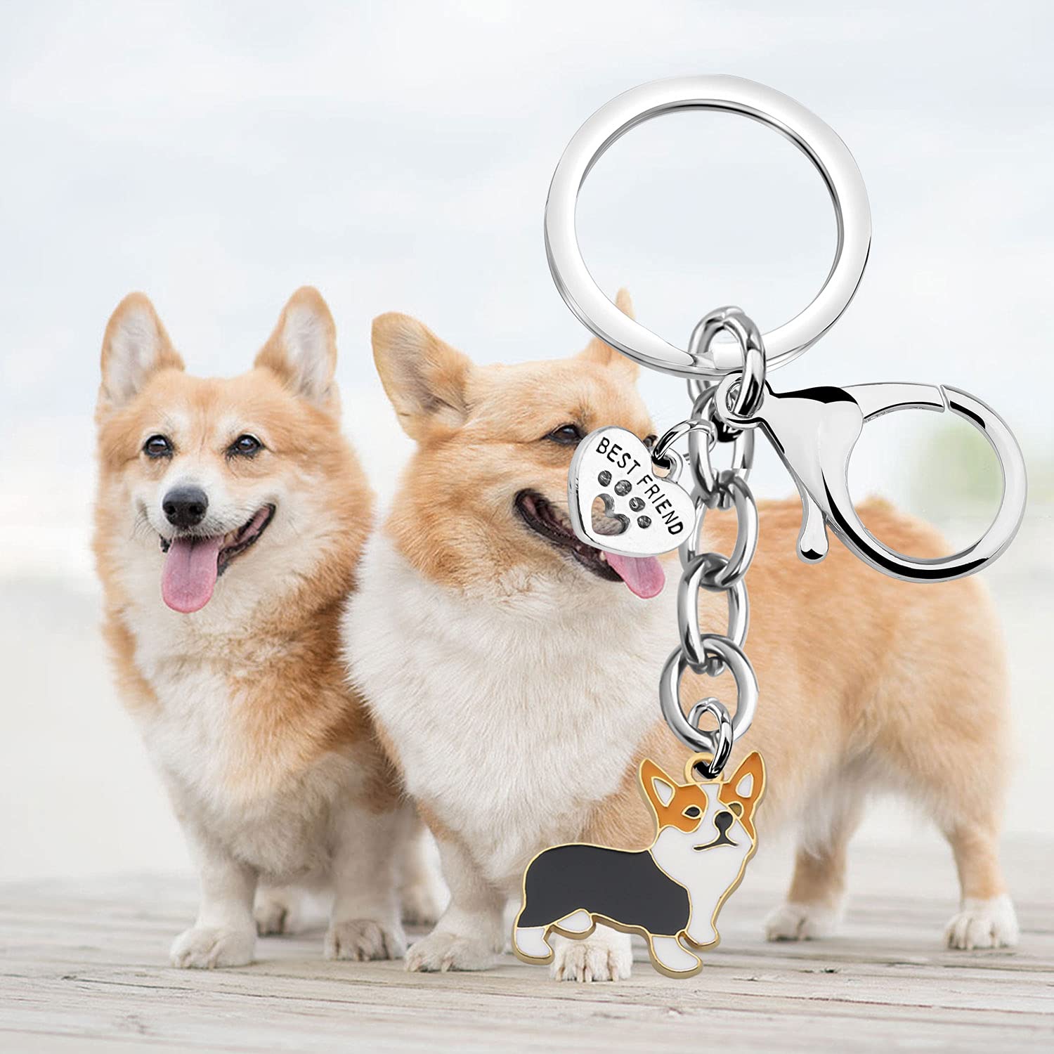 BNQL Cute Corgi Keychain - Perfect Gift for Corgi Owners & Dog Lovers - Paw Print Pet Rescue Keychain - Ideal for Birthdays, Christmas & Pet Adoption Celebrations