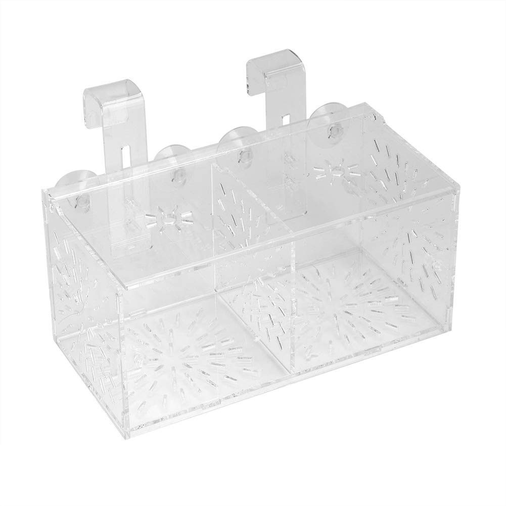 Rosvola Transparent Fish Isolation Box - 20cm x 10cm x 10cm Aquarium Hatchery for Fish Breeding, Egg Incubation & Fry Protection | Perfect for Freshwater & Saltwater Tanks, Hospital Tanks, and Breeding Tanks