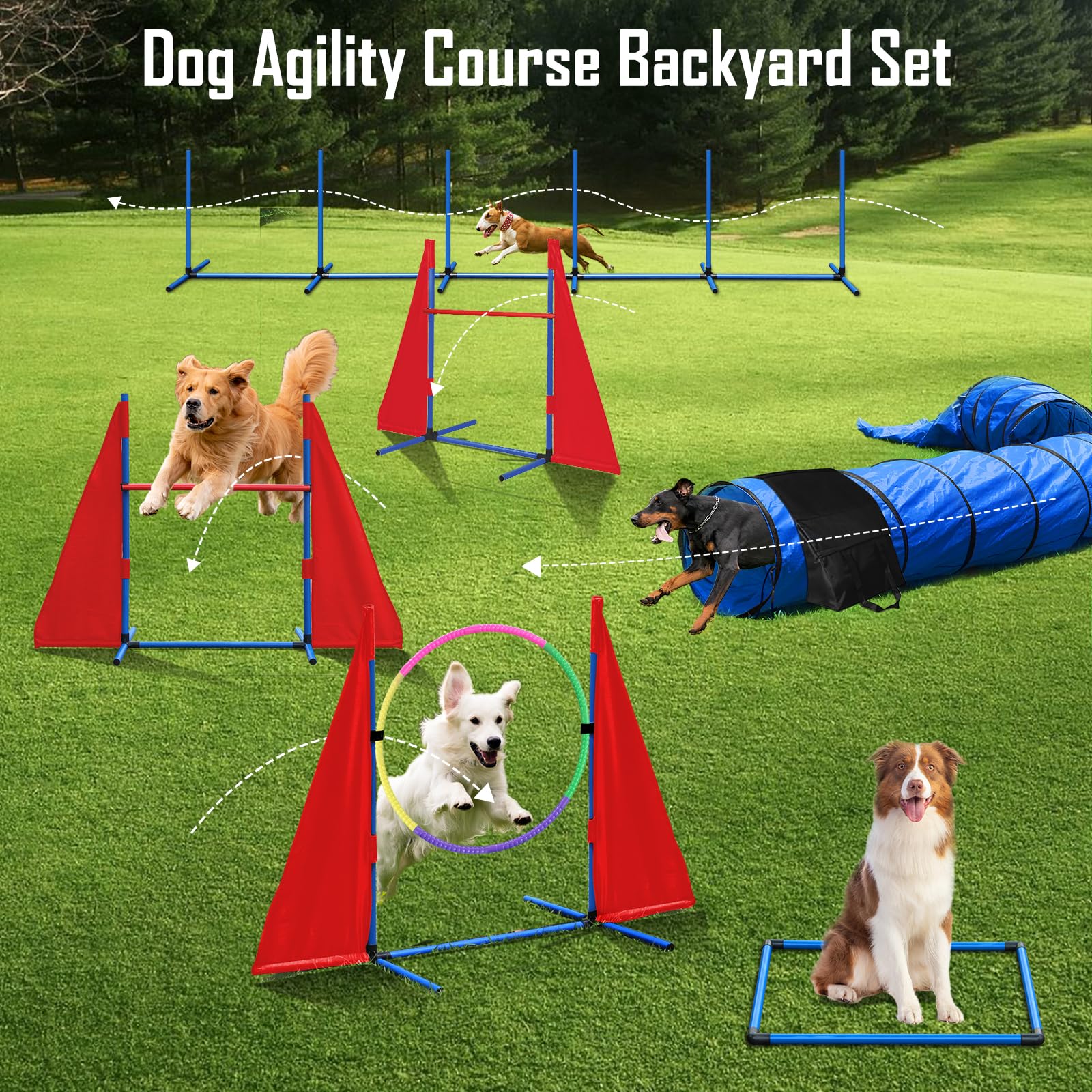 Premium Dog Agility Training Set - Portable Backyard Obstacle Course with 2 Tunnels, 3 Jumps & 6 Weave Poles | Professional Dog Agility Equipment for Small & Large Dogs | Perfect for Backyard Training, Competitions & Outdoor Exercise