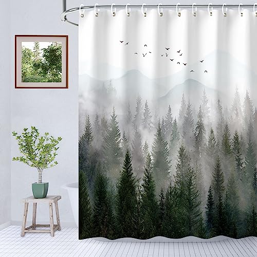 Beautiful Forest