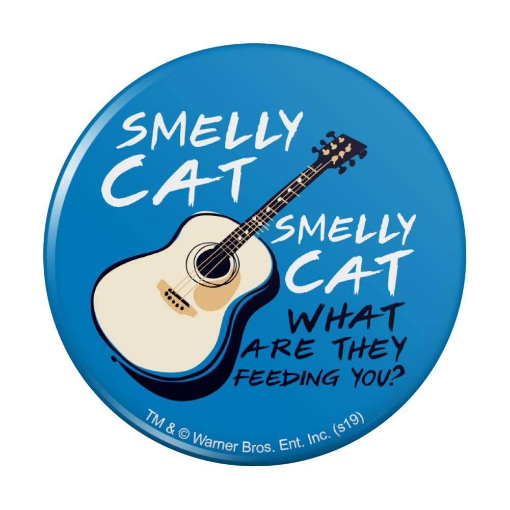 Friends TV Show Smelly Cat Song Kitchen Fridge Magnet - Funny Refrigerator Decoration for Fans, Home & Office Decor