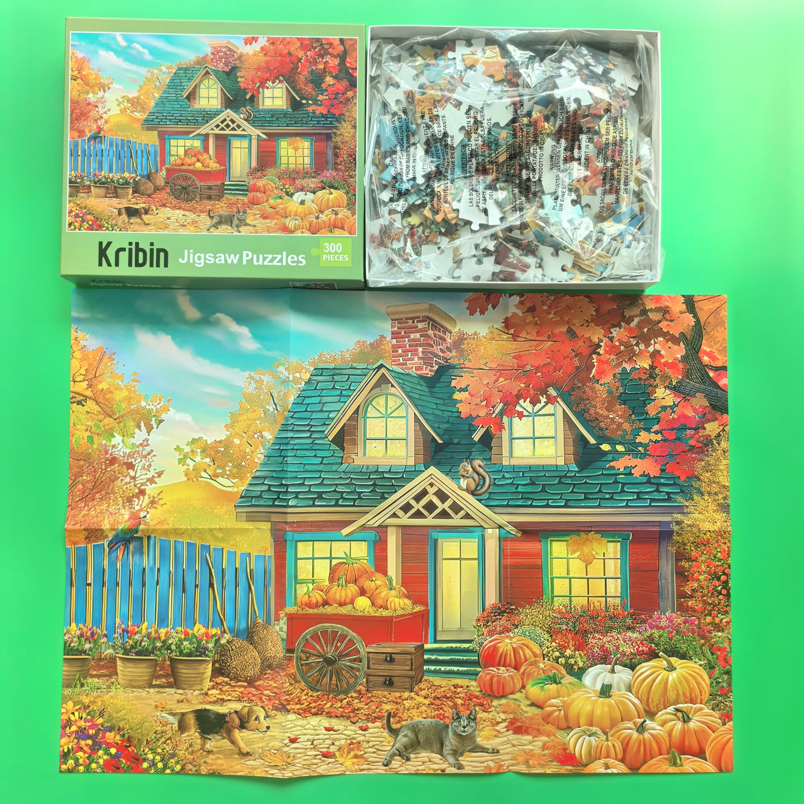 300-Piece Large Jigsaw Puzzle for Adults, Seniors & Kids - Autumn Pumpkin Harvest Halloween & Fall Theme - Perfect for Family Bonding, Stress Relief & Seasonal Decor
