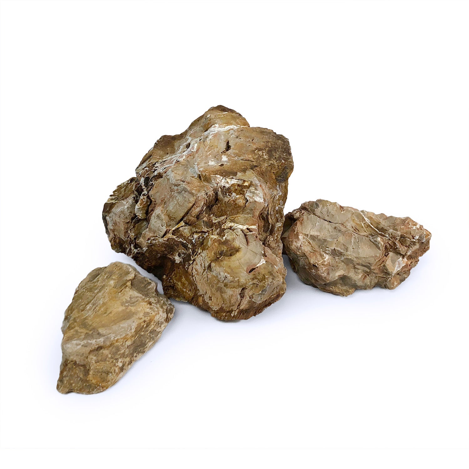 Natural Petrified Wood Stone - Unique Fossilized Wood for Home Decor, Jewelry Making & Collectibles | Perfect for DIY Crafts, Gifts & Geological Displays