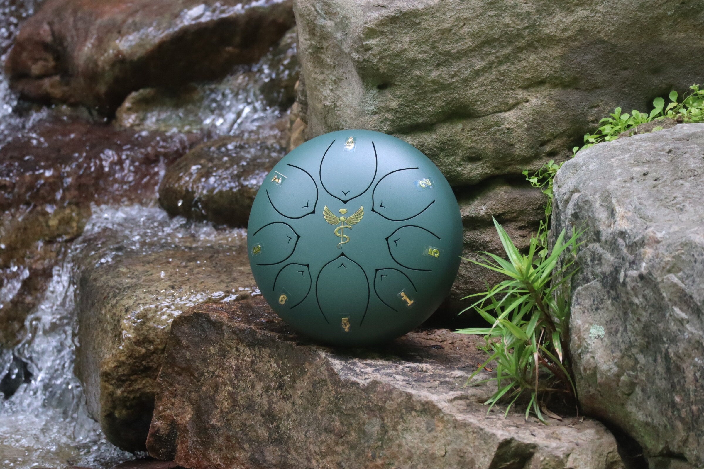 Life Force 8 Steel Tongue Drum in F Key - Handpan for Meditation, Yoga & Sound Healing | Shamanic & Ethereal Vibrations for Energy, Chi & Prana | Portable Tank Drum for Relaxation & Wellness