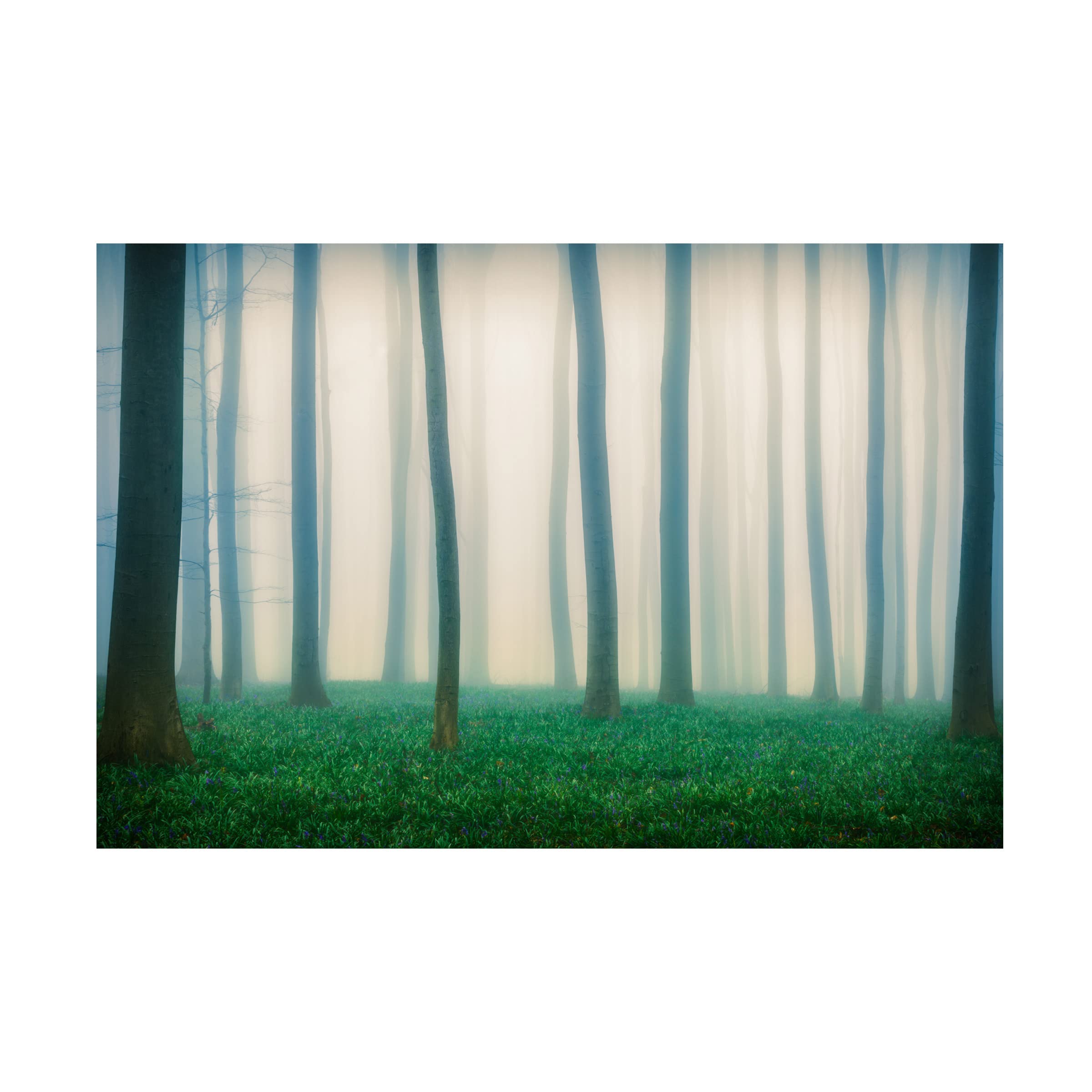 Adrian Popan 'Daydreaming Of Bluebells' Canvas Wall Art Print - Modern Home Decor for Living Room, Bedroom & Office - Blue Floral Landscape Painting