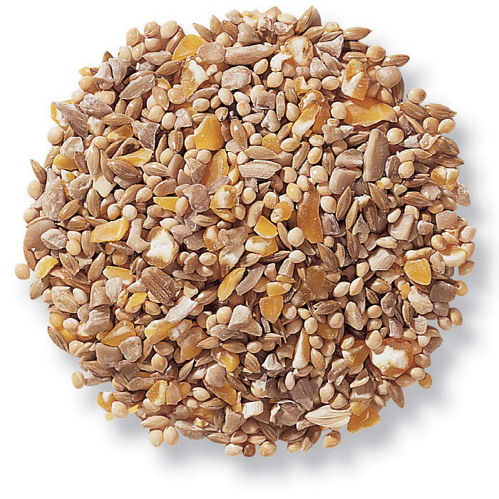 Duncraft Four Seasons No Waste Wild Bird Seed - Premium 5 lb Bag for Year-Round Bird Feeding | Attracts Cardinals, Finches & Songbirds | Backyard, Garden & Outdoor Use