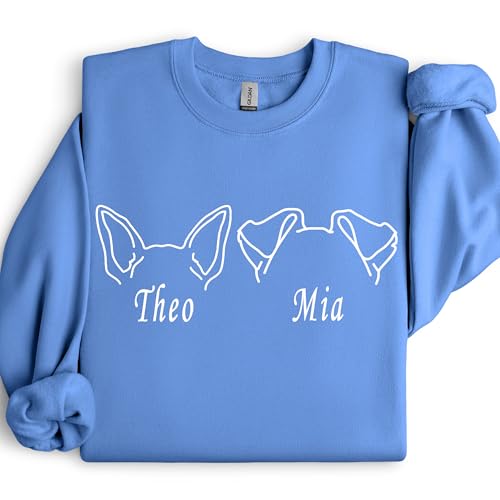 B5) Sweatshirt