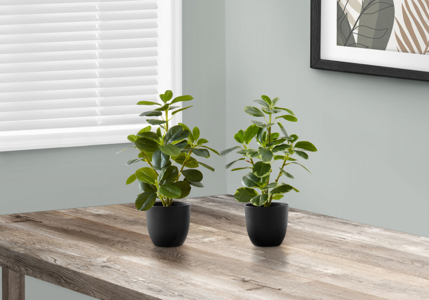 14 Inch Ficus Elastica Rubber Plant with 4 Inch Black Pot - Set of 2 Indoor House Plants for Home Office Decor, Living Room, Bedroom