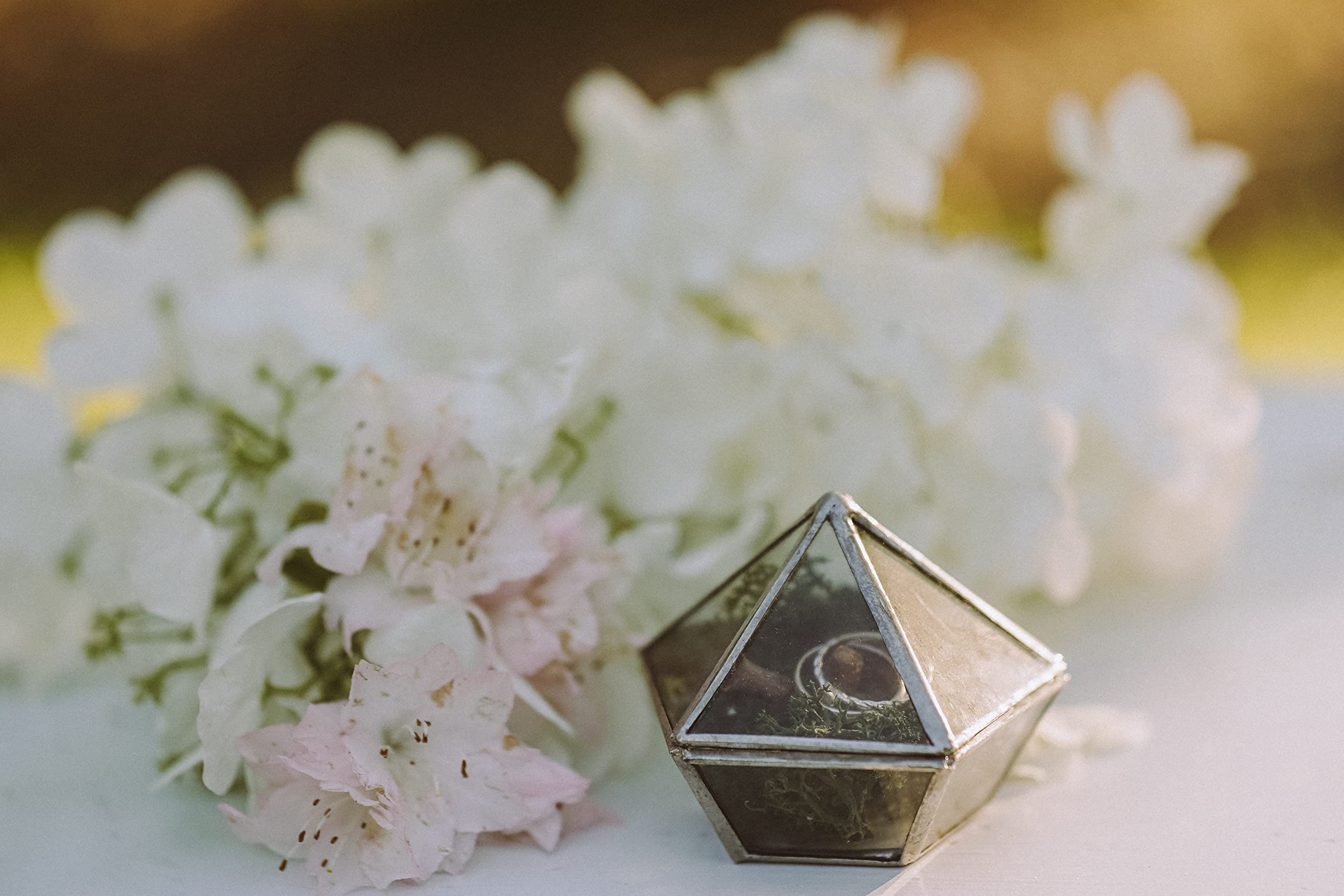 Silver Glass Wedding Ring Box - Proposal & Engagement Holder for Jewelry