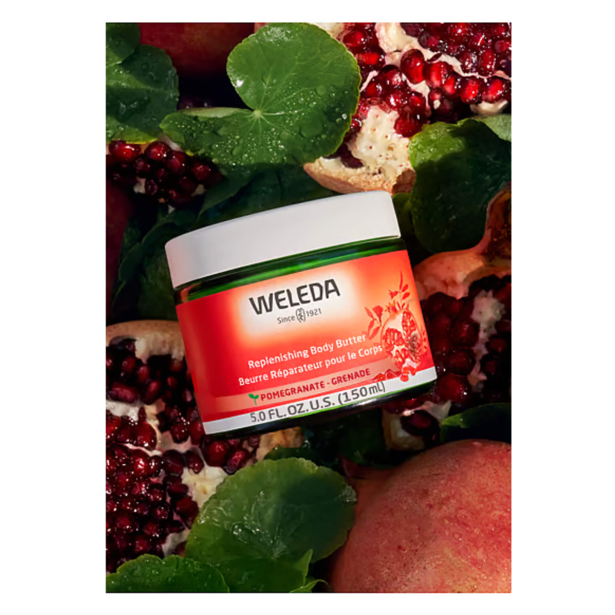 Replenishing Body Butter - Ultra Hydrating & Nourishing Moisturizer for Dry Skin | Perfect for Daily Use & Post-Shower Care