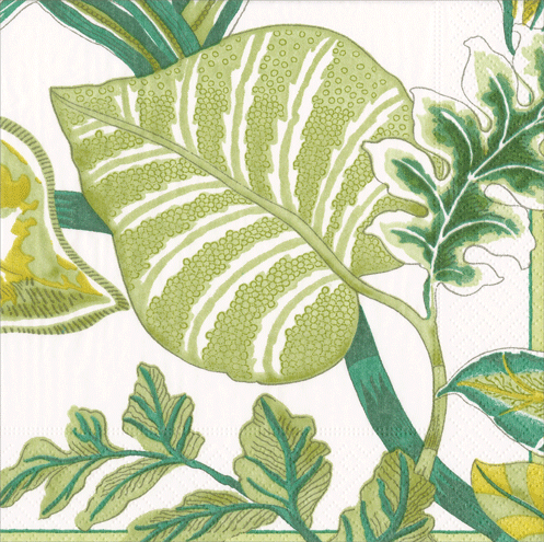 Caspari Florida Ivory Napkins - Premium Linen Dinner Napkins for Elegant Dining, Parties & Special Occasions