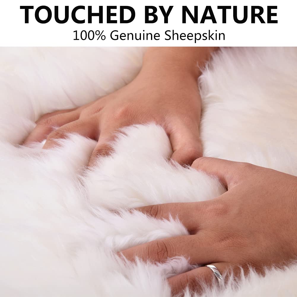 Premium Sheepskin Chair Cushion 18x18 Inch - Non-Slip Back, Genuine Fur, Natural Wool Seat Pad - Soft & Luxurious for Home, Office, Restaurant - Ivory White (Pack of 1) | Perfect for Ergonomic Support & Stylish Decor